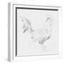 Big Rooster Sketch I-Jacob Green-Framed Art Print