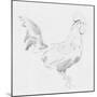Big Rooster Sketch I-Jacob Green-Mounted Art Print