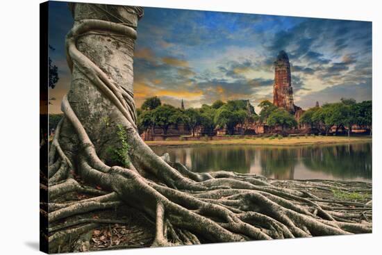 Big Root of Banyan Tree Land Scape of Ancient and Old Pagoda in History Temple of Ayuthaya World He-khunaspix-Stretched Canvas