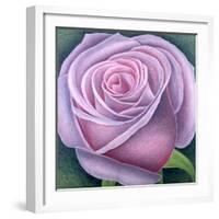 Big Rose-Ruth Addinall-Framed Giclee Print