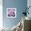 Big Rose-Ruth Addinall-Framed Giclee Print displayed on a wall