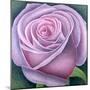 Big Rose-Ruth Addinall-Mounted Giclee Print