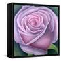 Big Rose-Ruth Addinall-Framed Stretched Canvas