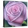 Big Rose-Ruth Addinall-Stretched Canvas