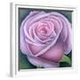 Big Rose-Ruth Addinall-Framed Giclee Print