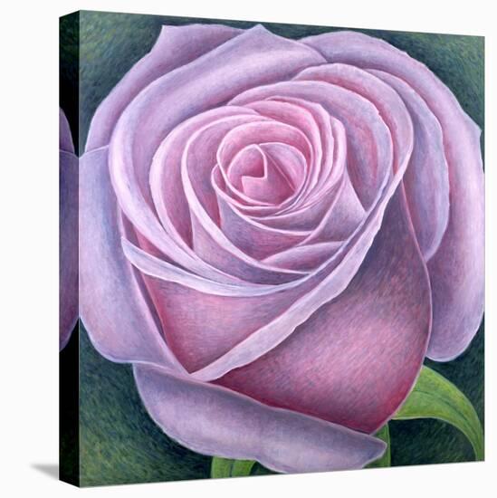 Big Rose-Ruth Addinall-Stretched Canvas