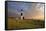 Big Sable Point Lighthouse.-rudi1976-Framed Stretched Canvas