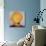 Big Saffron Turban-Lincoln Seligman-Giclee Print displayed on a wall