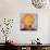Big Saffron Turban-Lincoln Seligman-Giclee Print displayed on a wall