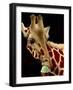 Big Scoop-Will Bullas-Framed Giclee Print