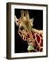 Big Scoop-Will Bullas-Framed Premium Giclee Print