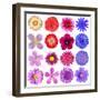 Big Selection Of Colorful Flowers Isolated On White Background-tr3gi-Framed Art Print
