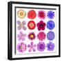 Big Selection Of Colorful Flowers Isolated On White Background-tr3gi-Framed Art Print