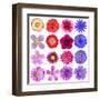 Big Selection Of Colorful Flowers Isolated On White Background-tr3gi-Framed Art Print