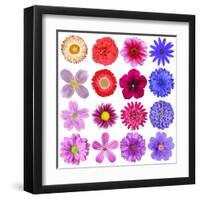 Big Selection Of Colorful Flowers Isolated On White Background-tr3gi-Framed Art Print