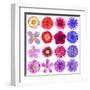 Big Selection Of Colorful Flowers Isolated On White Background-tr3gi-Framed Art Print