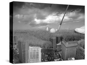 Big Shot-Thomas Barbey-Stretched Canvas