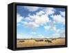 Big Sky Country-David Marty-Framed Stretched Canvas