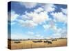 Big Sky Country-David Marty-Stretched Canvas