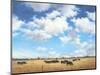 Big Sky Country-David Marty-Mounted Giclee Print