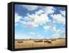 Big Sky Country-David Marty-Framed Stretched Canvas