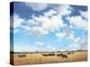 Big Sky Country-David Marty-Stretched Canvas