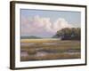 Big Sky Countryside-Jill Schultz McGannon-Framed Art Print