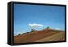 Big Sky, Hill Top, Todi, Umbria, 1998-Trevor Neal-Framed Stretched Canvas