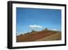 Big Sky, Hill Top, Todi, Umbria, 1998-Trevor Neal-Framed Giclee Print