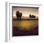 Big Sky I-Gregory Williams-Framed Art Print