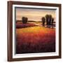 Big Sky II-Gregory Williams-Framed Art Print