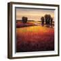 Big Sky II-Gregory Williams-Framed Art Print