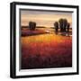 Big Sky II-Gregory Williams-Framed Art Print