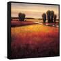 Big Sky II-Gregory Williams-Framed Stretched Canvas