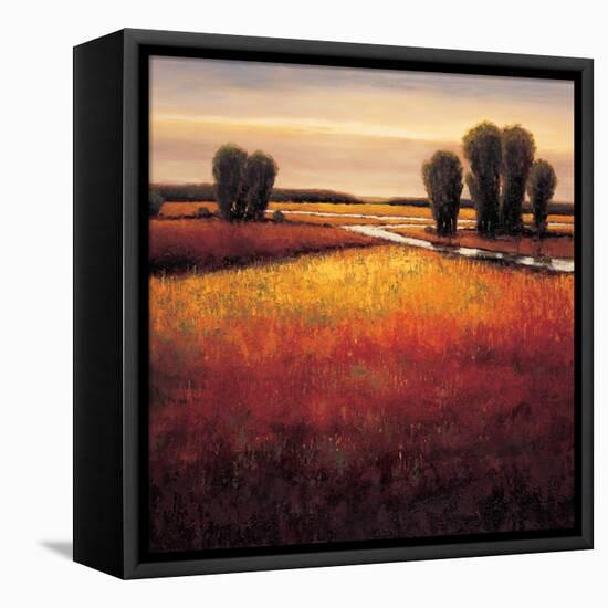 Big Sky II-Gregory Williams-Framed Stretched Canvas