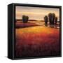 Big Sky II-Gregory Williams-Framed Stretched Canvas