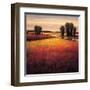 Big Sky II-Gregory Williams-Framed Art Print