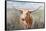 Big Sky Longhorn Sunset-Danhui Nai-Framed Stretched Canvas