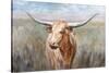 Big Sky Longhorn Sunset-Danhui Nai-Stretched Canvas