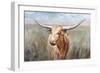 Big Sky Longhorn Sunset-Danhui Nai-Framed Art Print