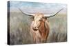 Big Sky Longhorn Sunset-Danhui Nai-Stretched Canvas