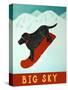 Big Sky Snowboard Black-Stephen Huneck-Stretched Canvas