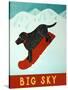 Big Sky Snowboard Black-Stephen Huneck-Stretched Canvas