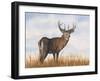 Big Sky Whitetail II-Michael Willett-Framed Art Print