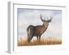 Big Sky Whitetail II-Michael Willett-Framed Art Print