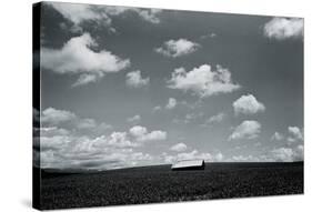 Big Sky-Andrew Geiger-Stretched Canvas