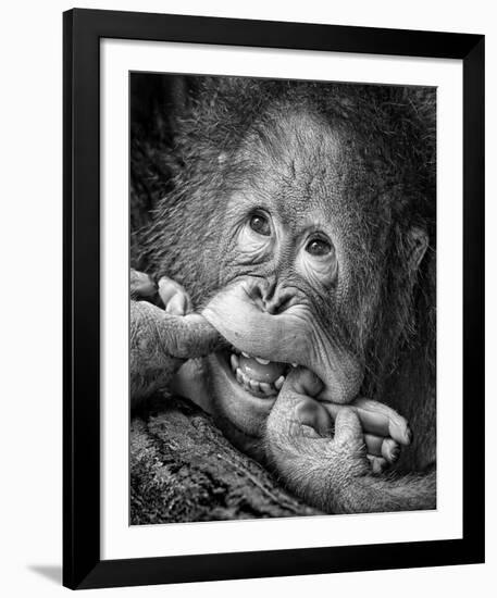 Big Smile..Please-Angela Muliani Hartojo-Framed Giclee Print