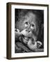 Big Smile.....Please-Angela Muliani Hartojo-Framed Photographic Print