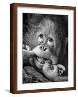 Big Smile.....Please-Angela Muliani Hartojo-Framed Photographic Print