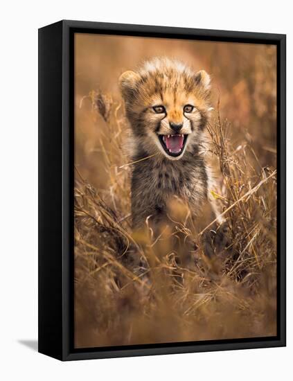 Big Smile-Ahmed Sobhi-Framed Stretched Canvas